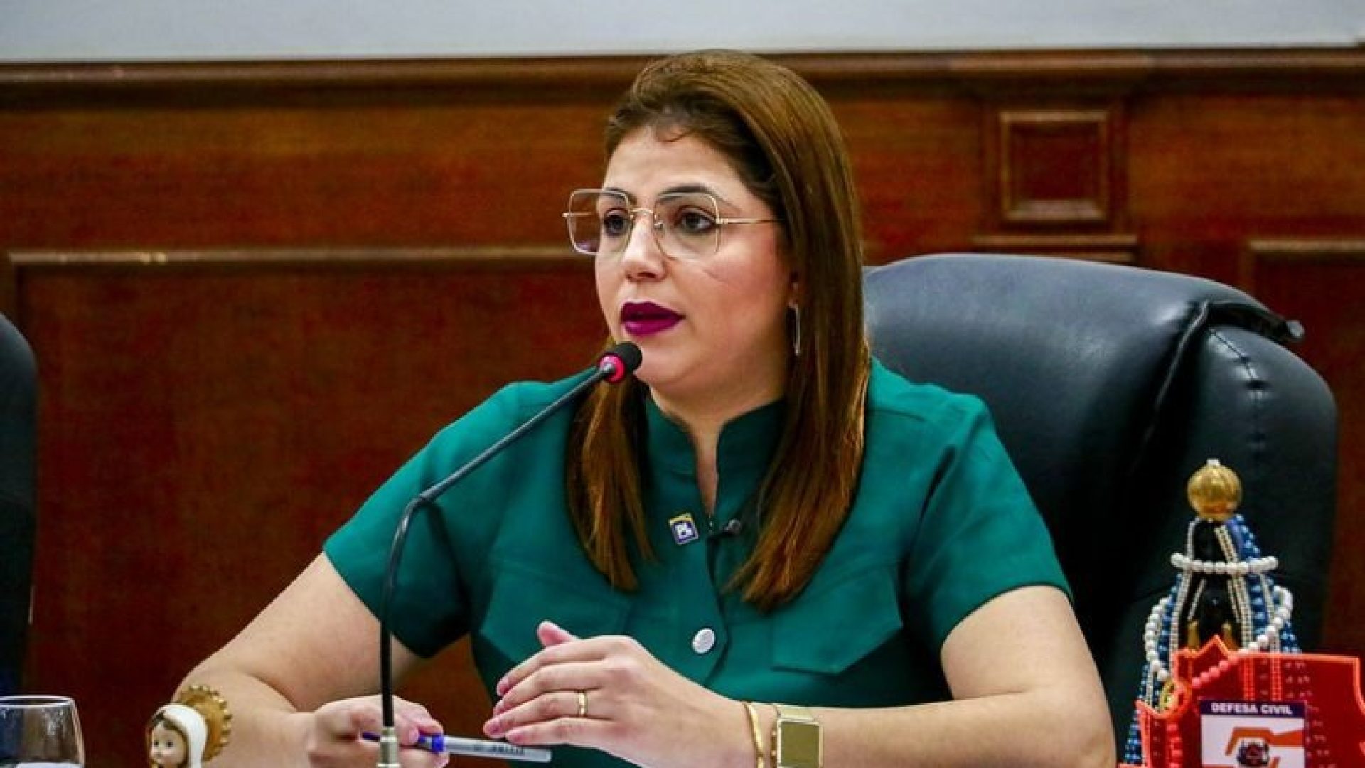 Motorista de transporte escolar relata riscos e indignação após ter vídeo exposto por vereadora em sessão da câmara (foto: divulgação/ CMU)