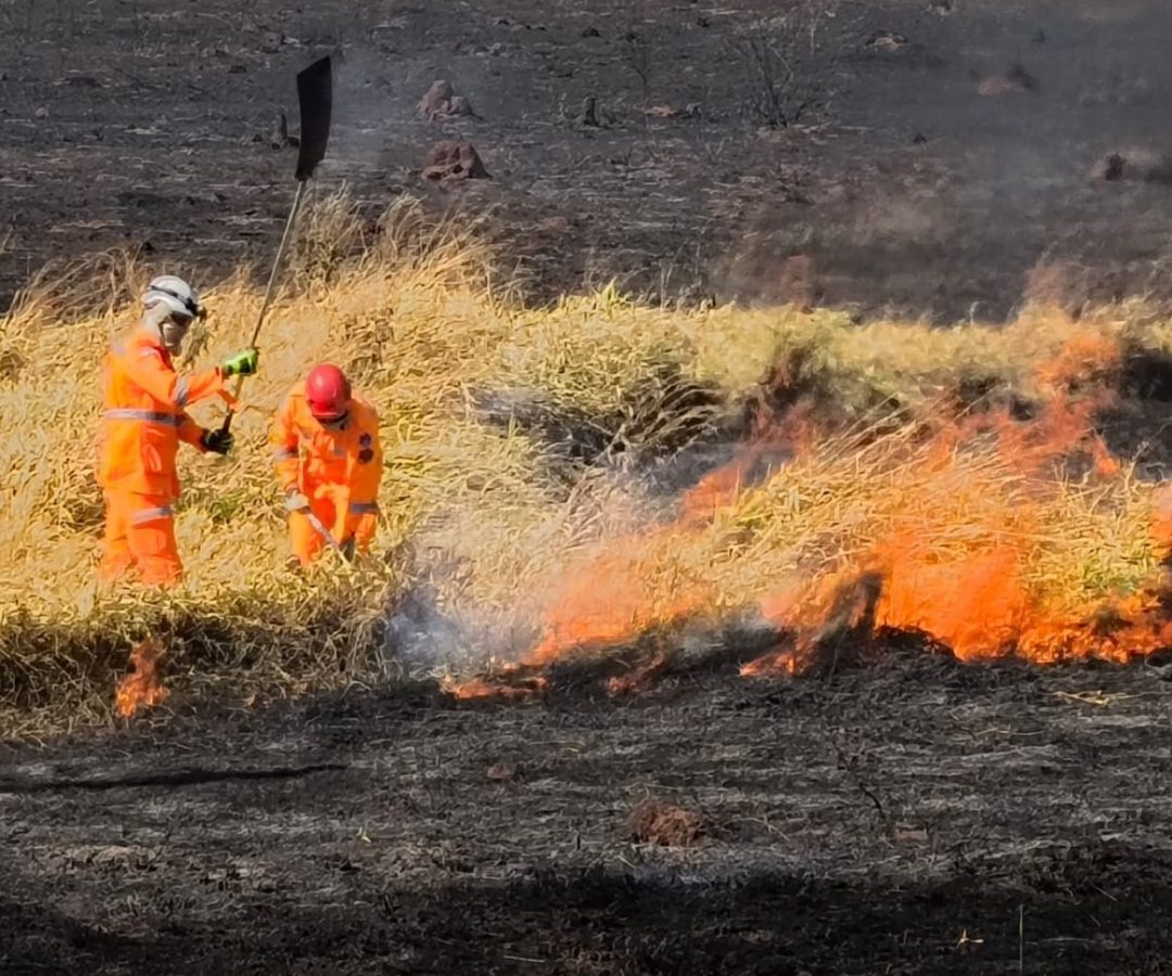 Bombeiros controlam incêndio em vegetação na região da Univerdecidade, em Uberaba (MG)