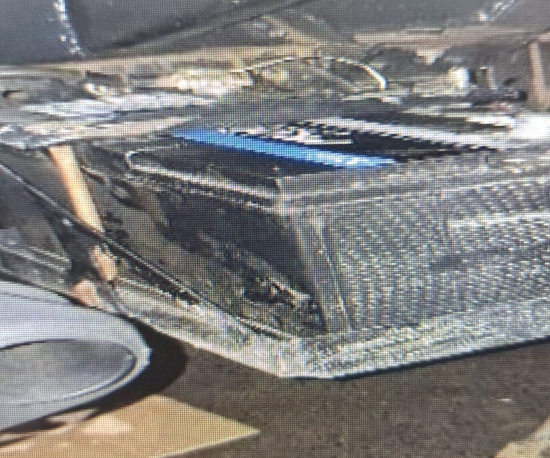 (foto: divulgação/ PMMG)