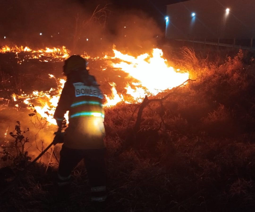 Bombeiros combatem incêndio em área de cerrado em Uberaba. Fogo destruiu 1,47 hectare de vegetação.