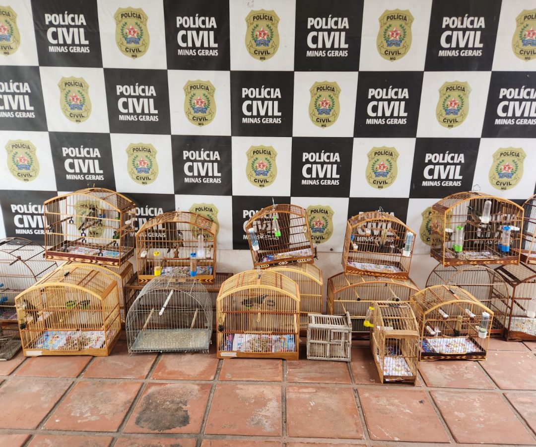 Foto: Policia Civil