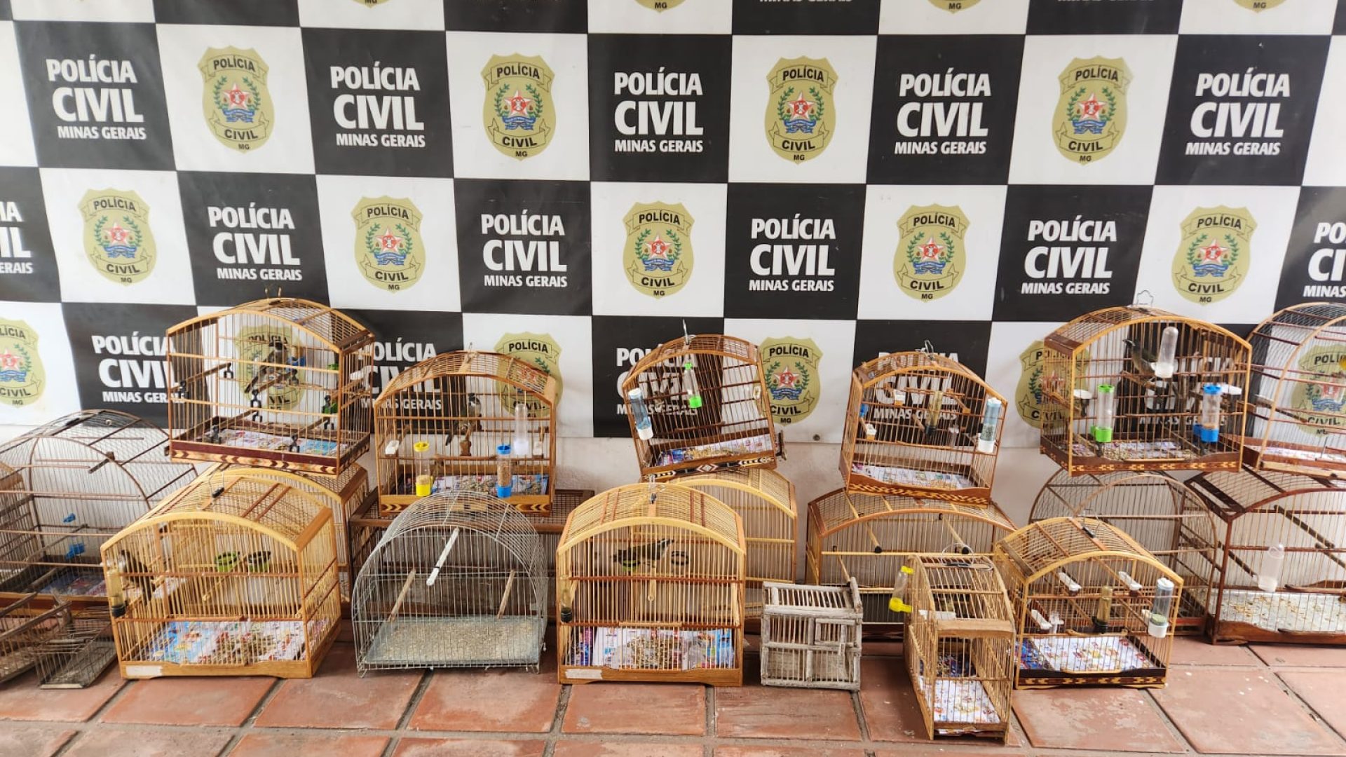 Foto: Policia Civil