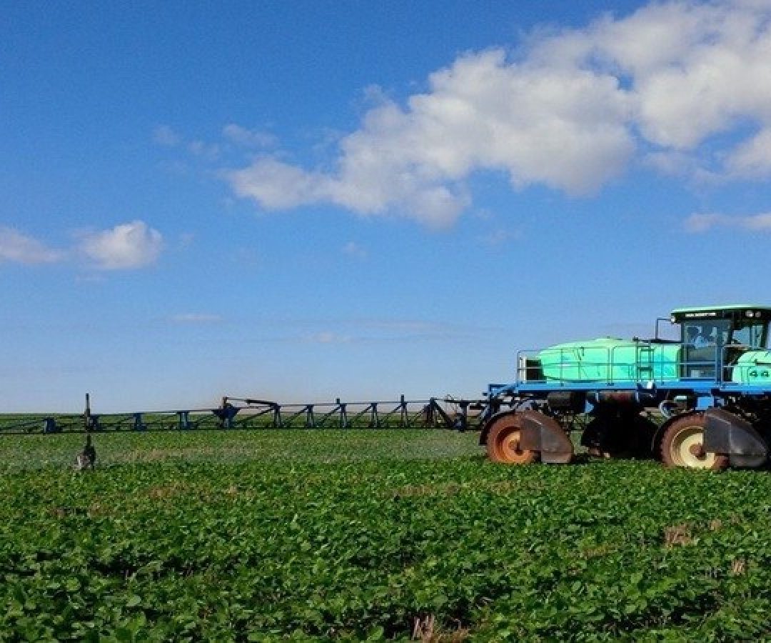 Divulgação / Faemg Senar