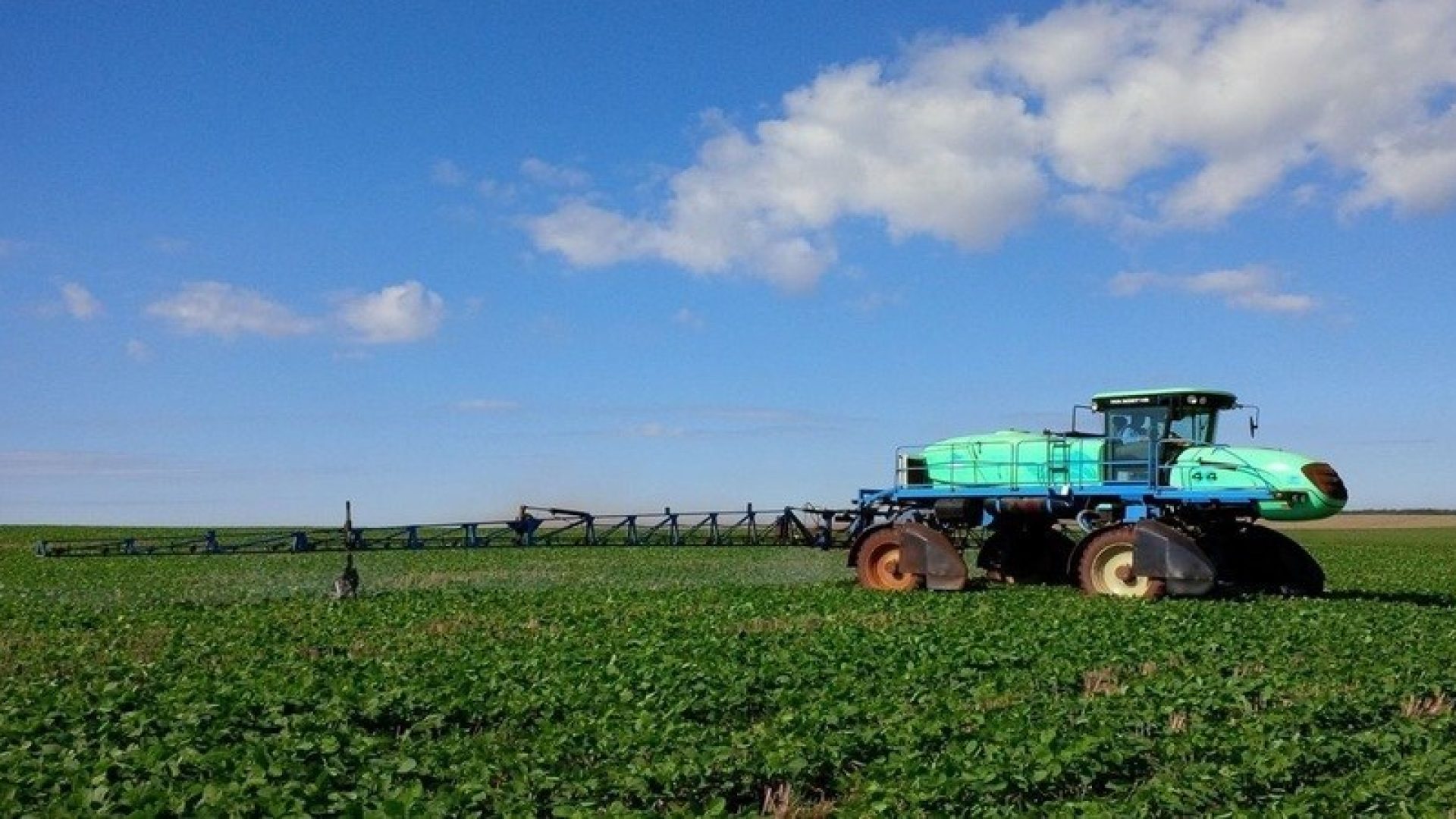 Divulgação / Faemg Senar