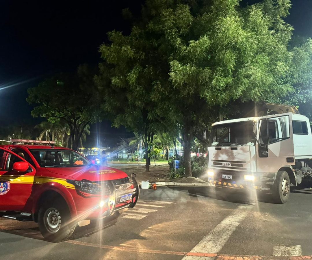(foto: divulgação/ Corpo de Bombeiros)