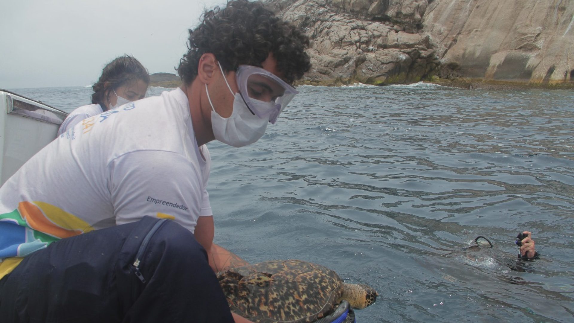 O Instituto Gremar promoveu, no último dia 14 de novembro, a soltura de três animais marinhos reabilitados: uma tartaruga-de-pente...