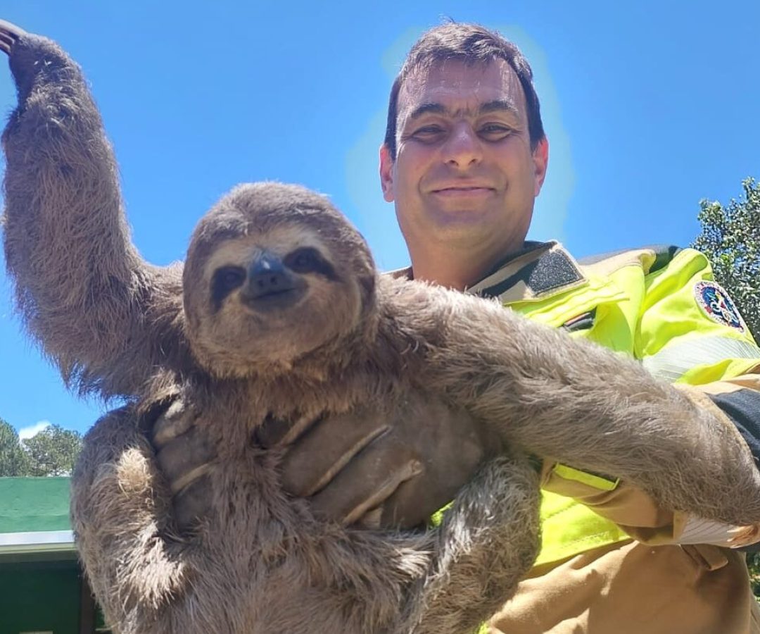 Divulgação / 4º BBM Guardião da Zona da Mata