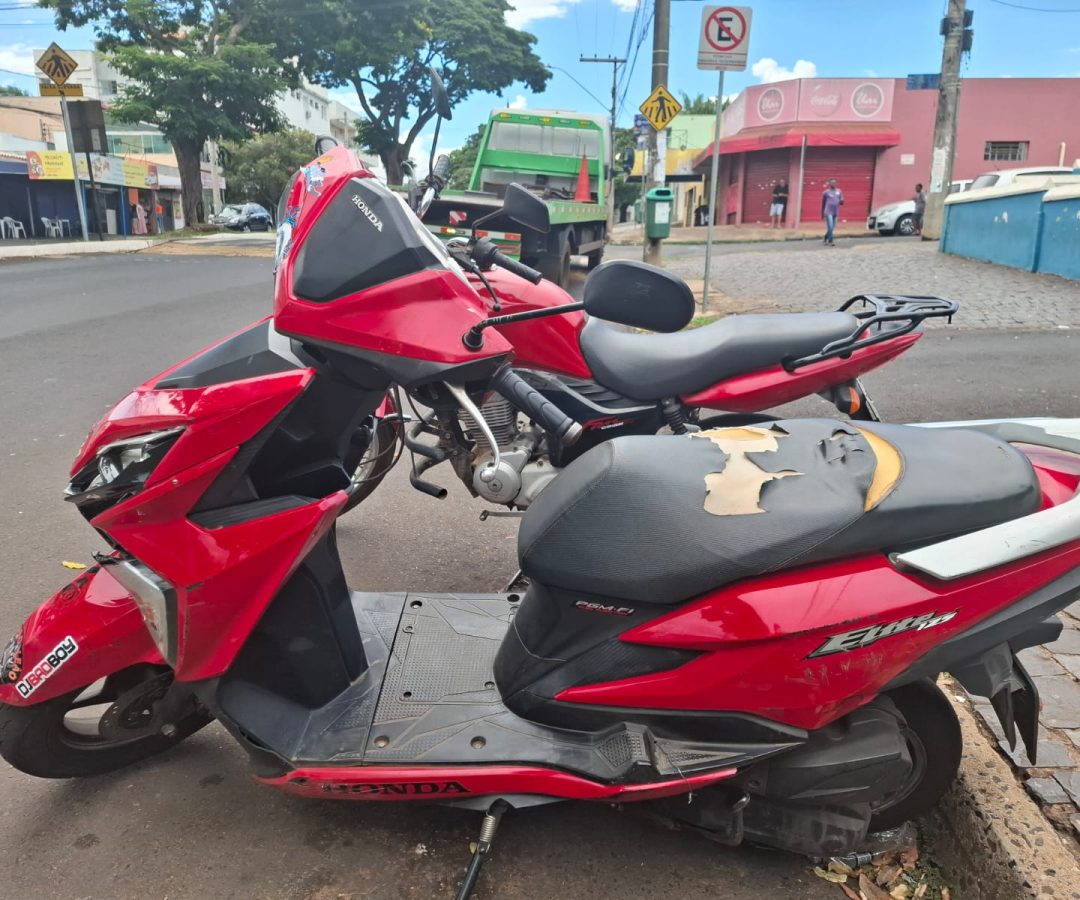 (foto: divulgação/ PMMG)