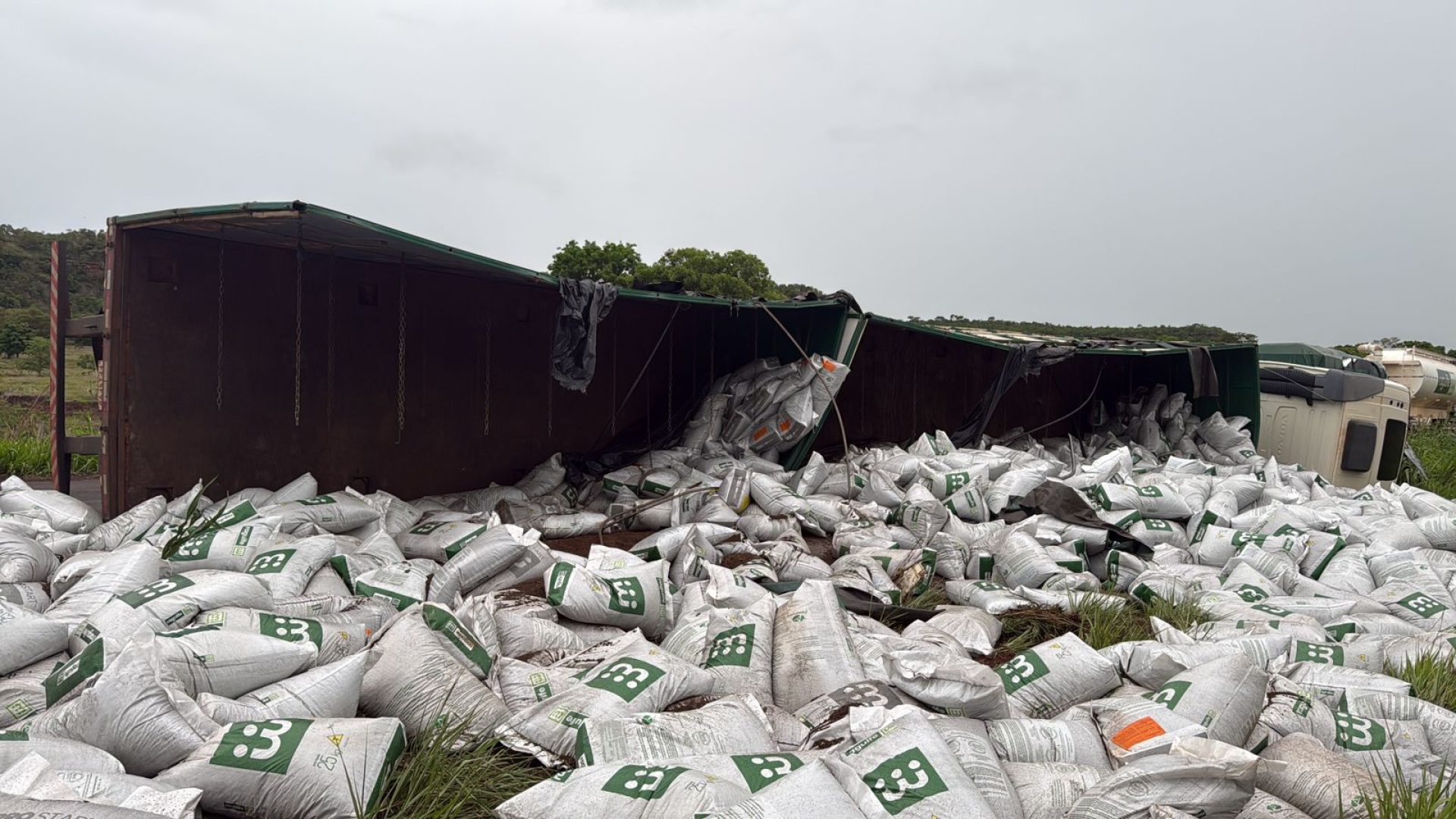 (foto: divulgação/ PMRv)