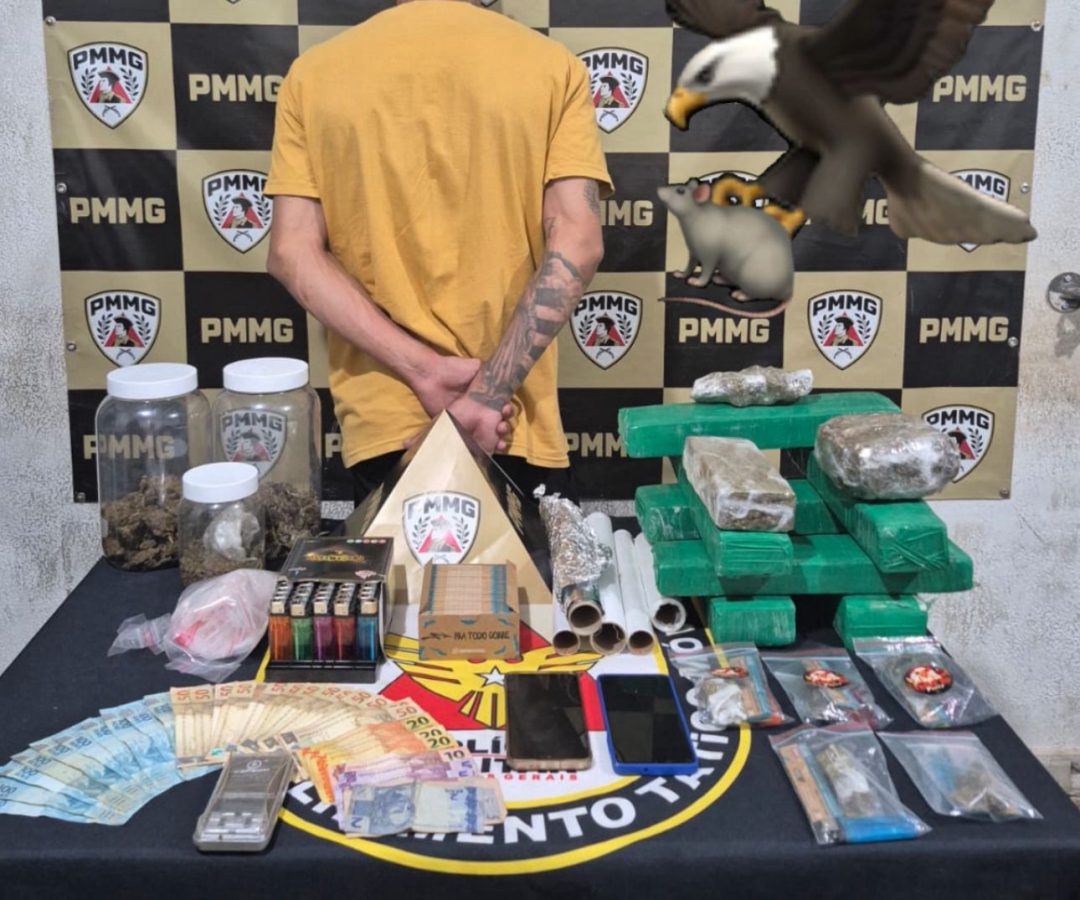 (foto: divulgação/ PMMG)