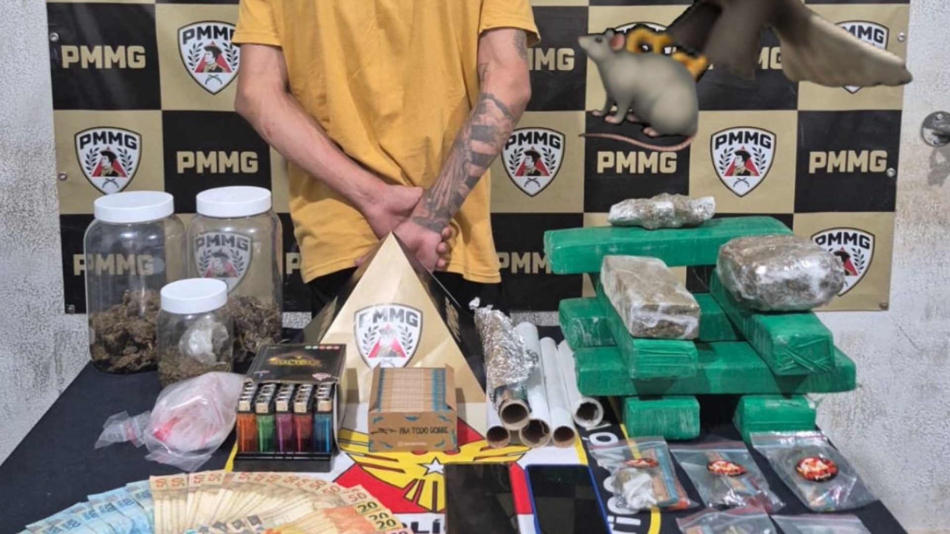 (foto: divulgação/ PMMG)