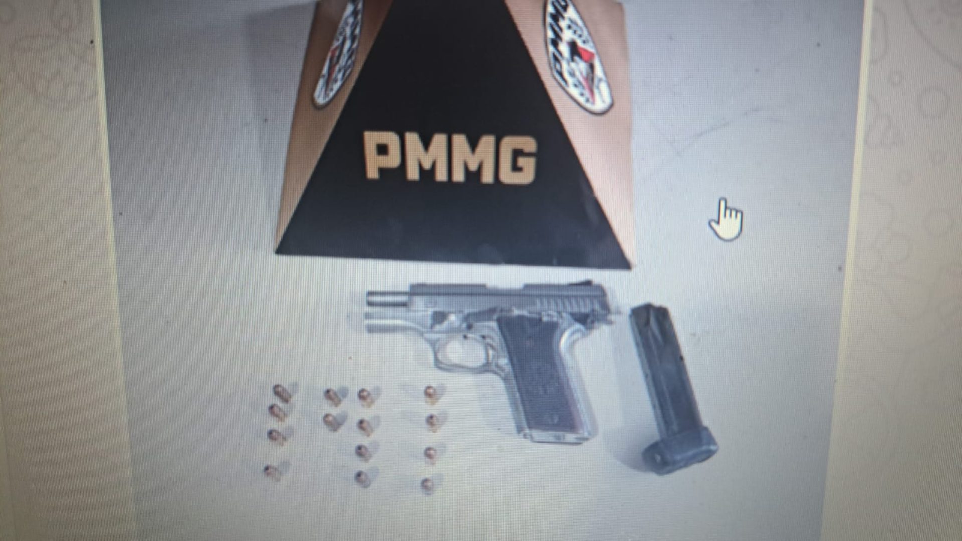 (foto: divulgação/ PMMG)