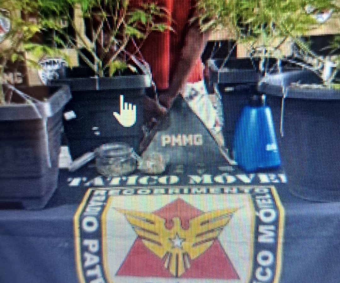 (foto: divulgação/ PMMG)