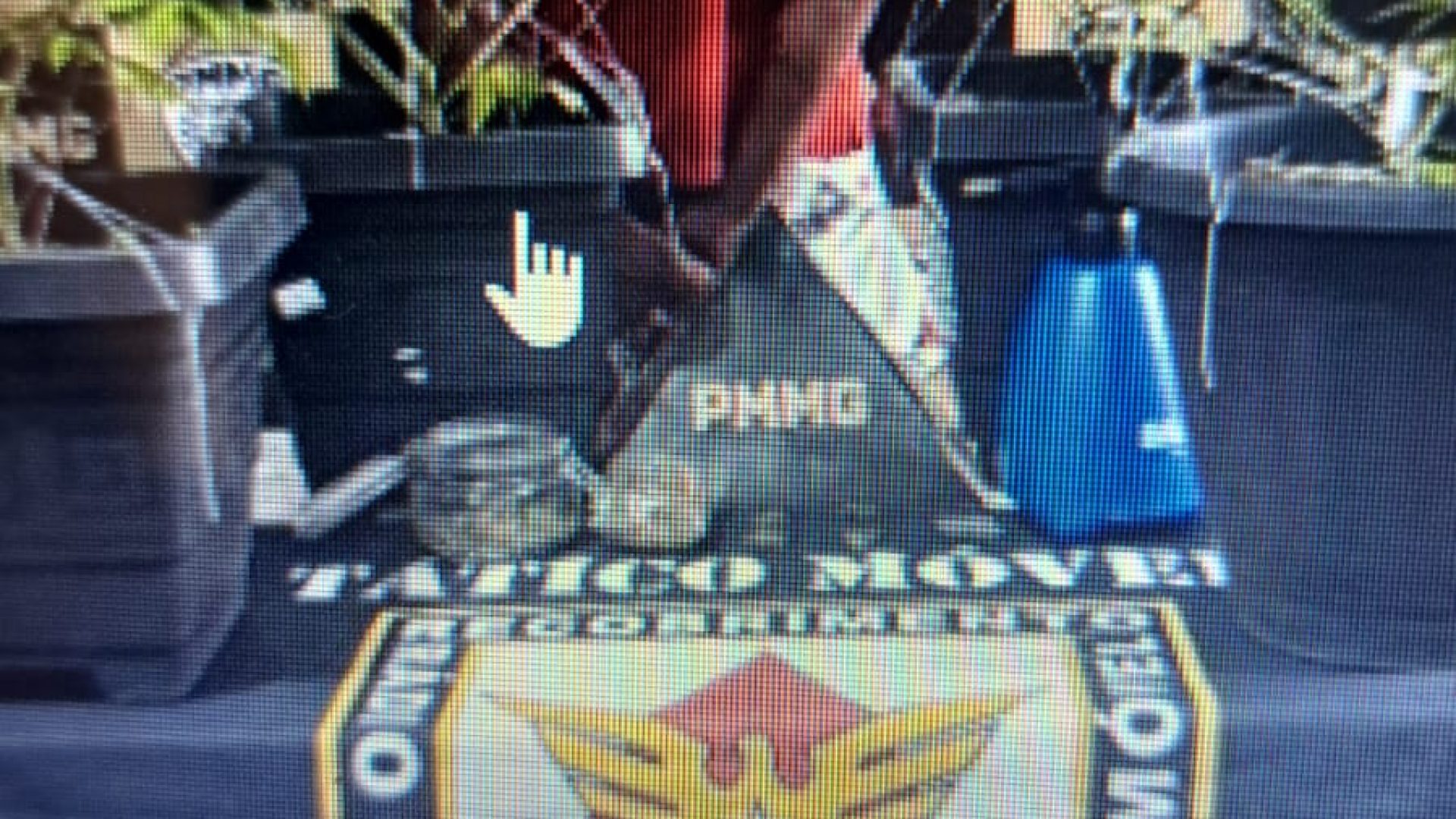 (foto: divulgação/ PMMG)