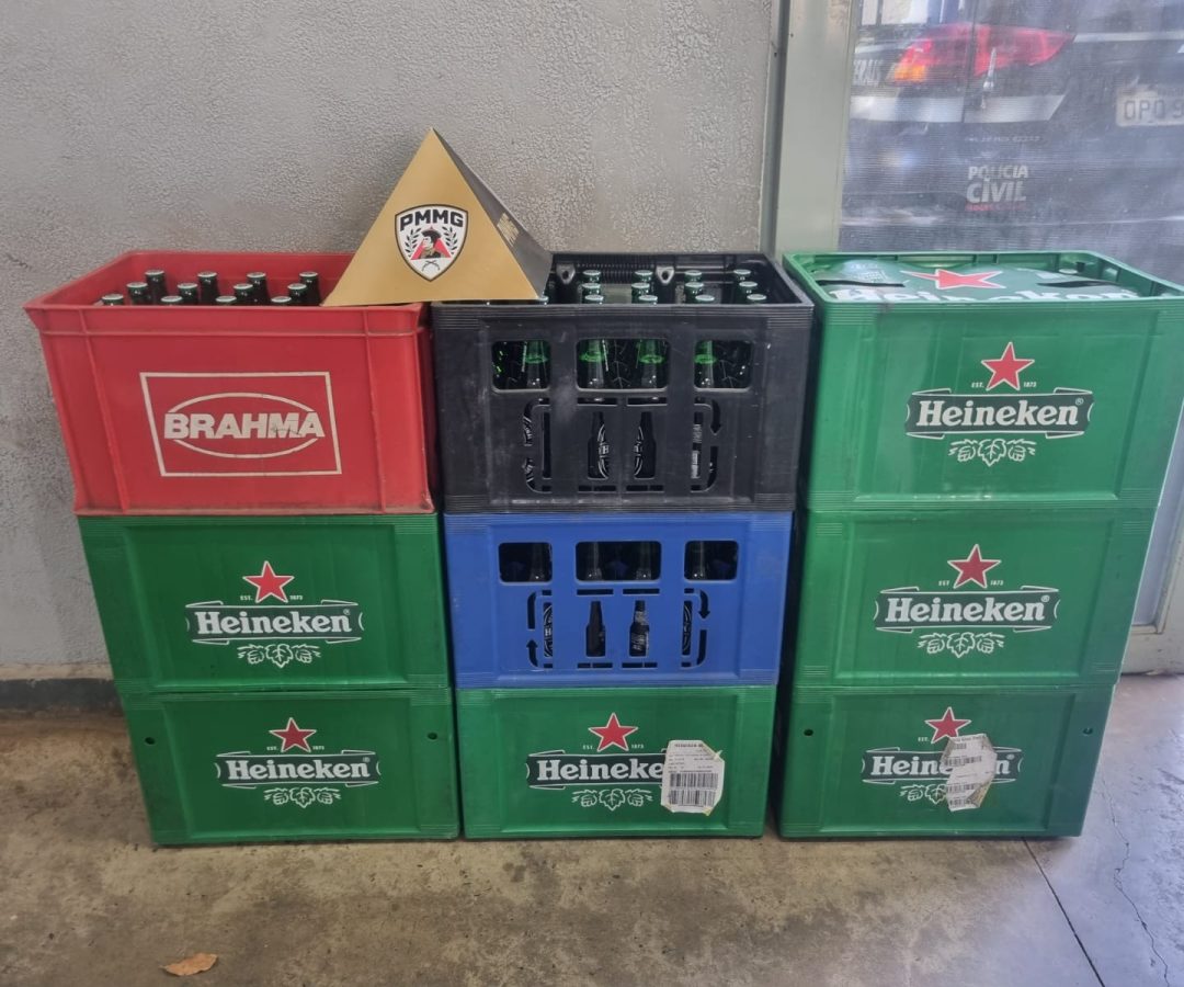 (foto: divulgação/ PMMG)