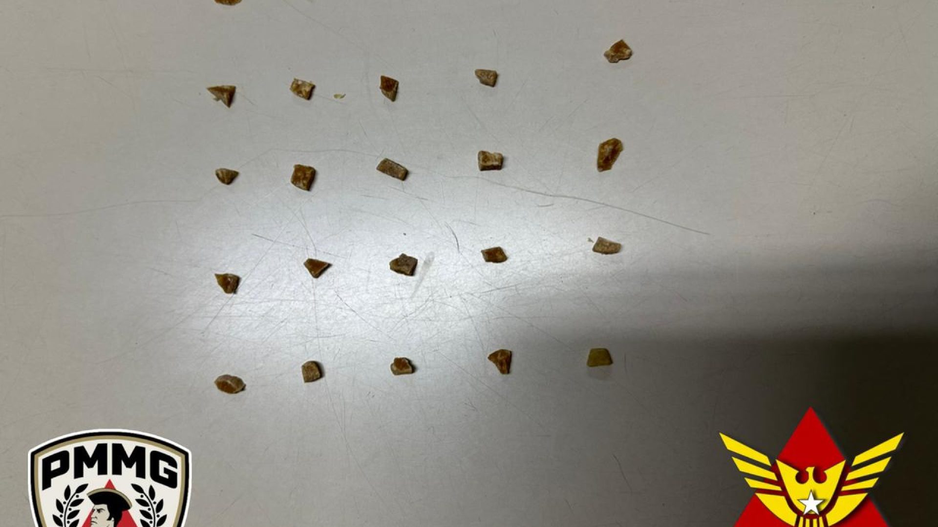 (foto: divulgação/ PMMG)