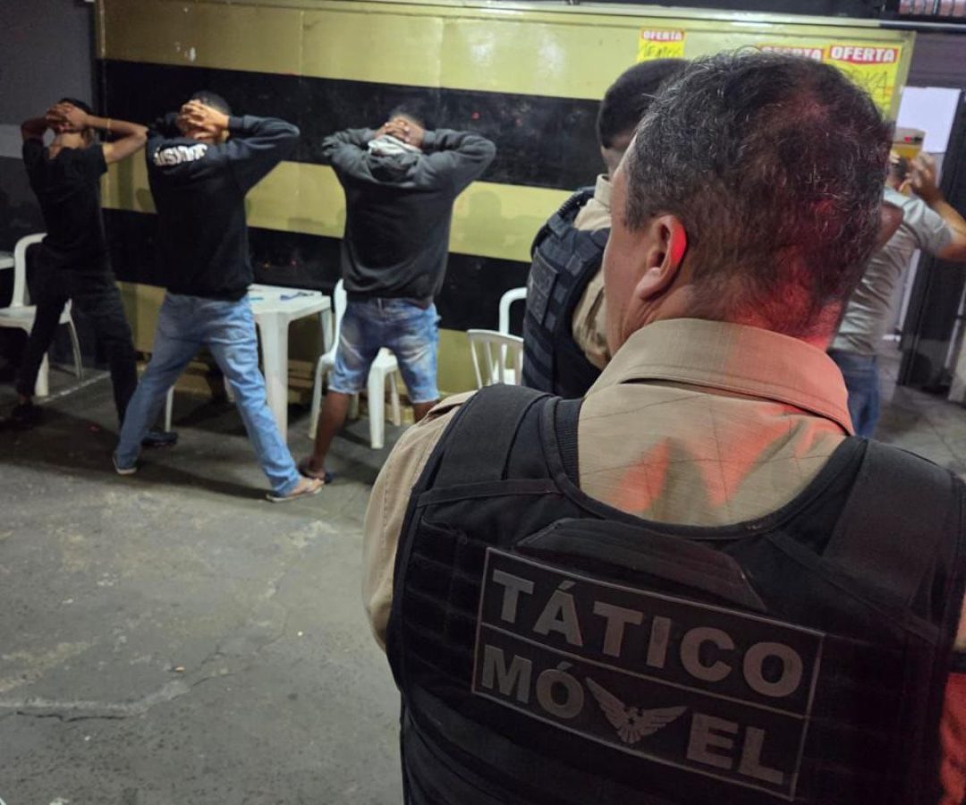 (foto: divulgação/ PMMG)