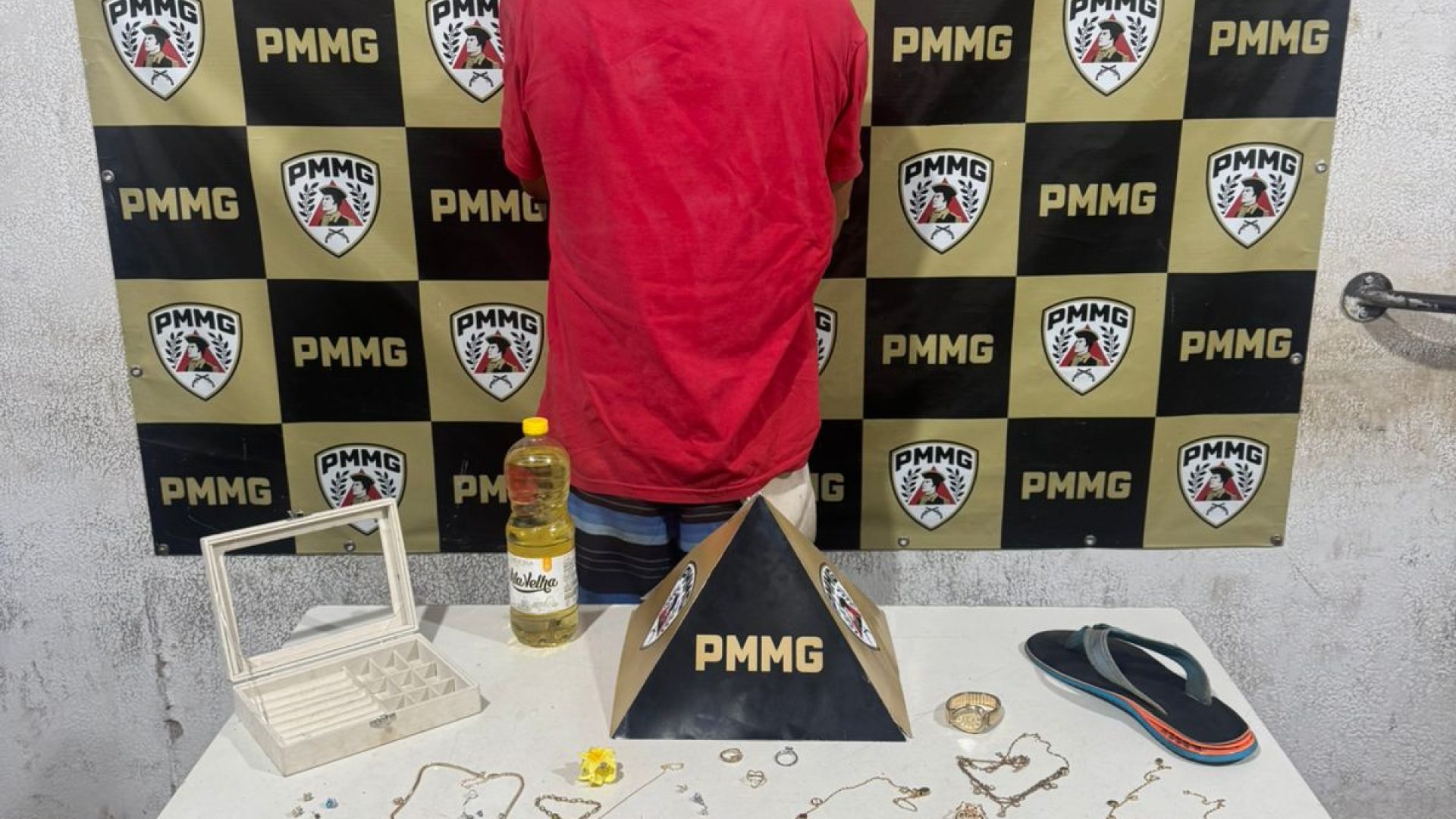 (foto: divulgação/ PMMG)