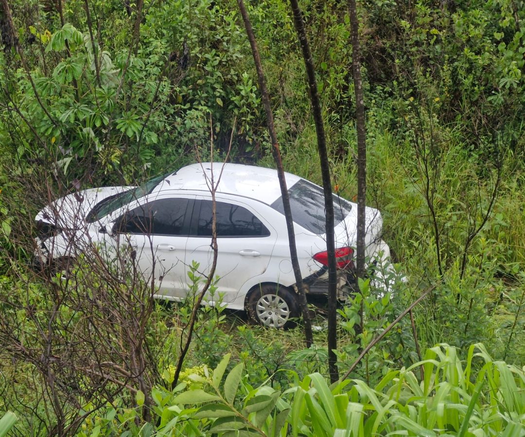 (foto: divulgação/ PMRv)