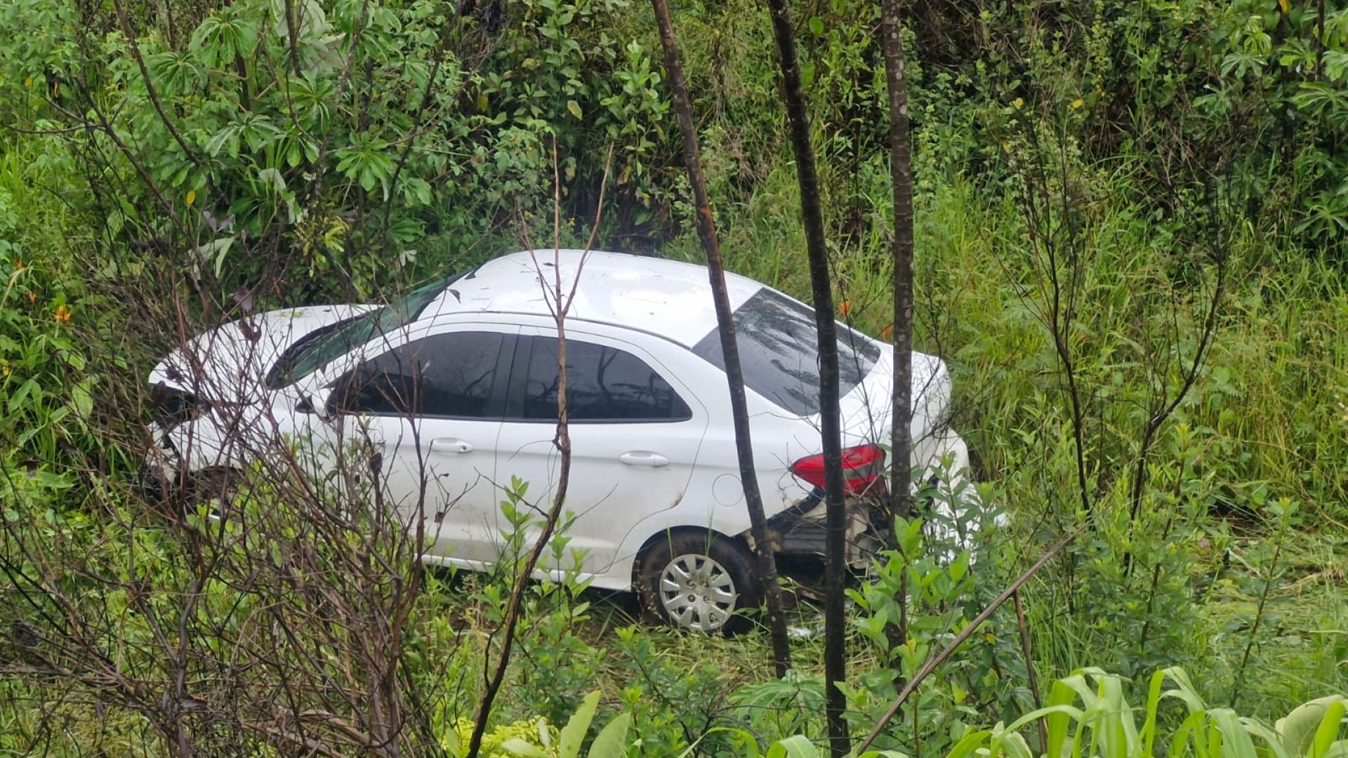 (foto: divulgação/ PMRv)