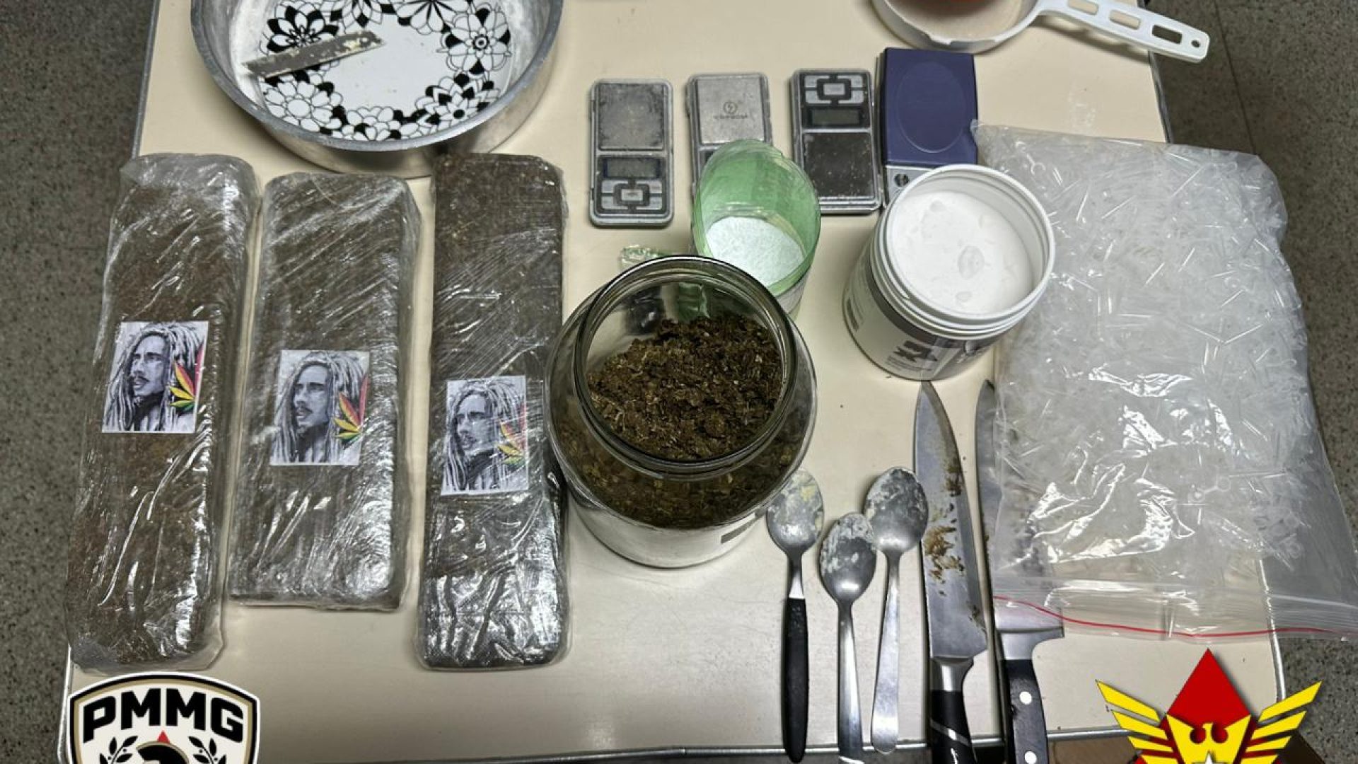 (foto: divulgação/ PMMG)