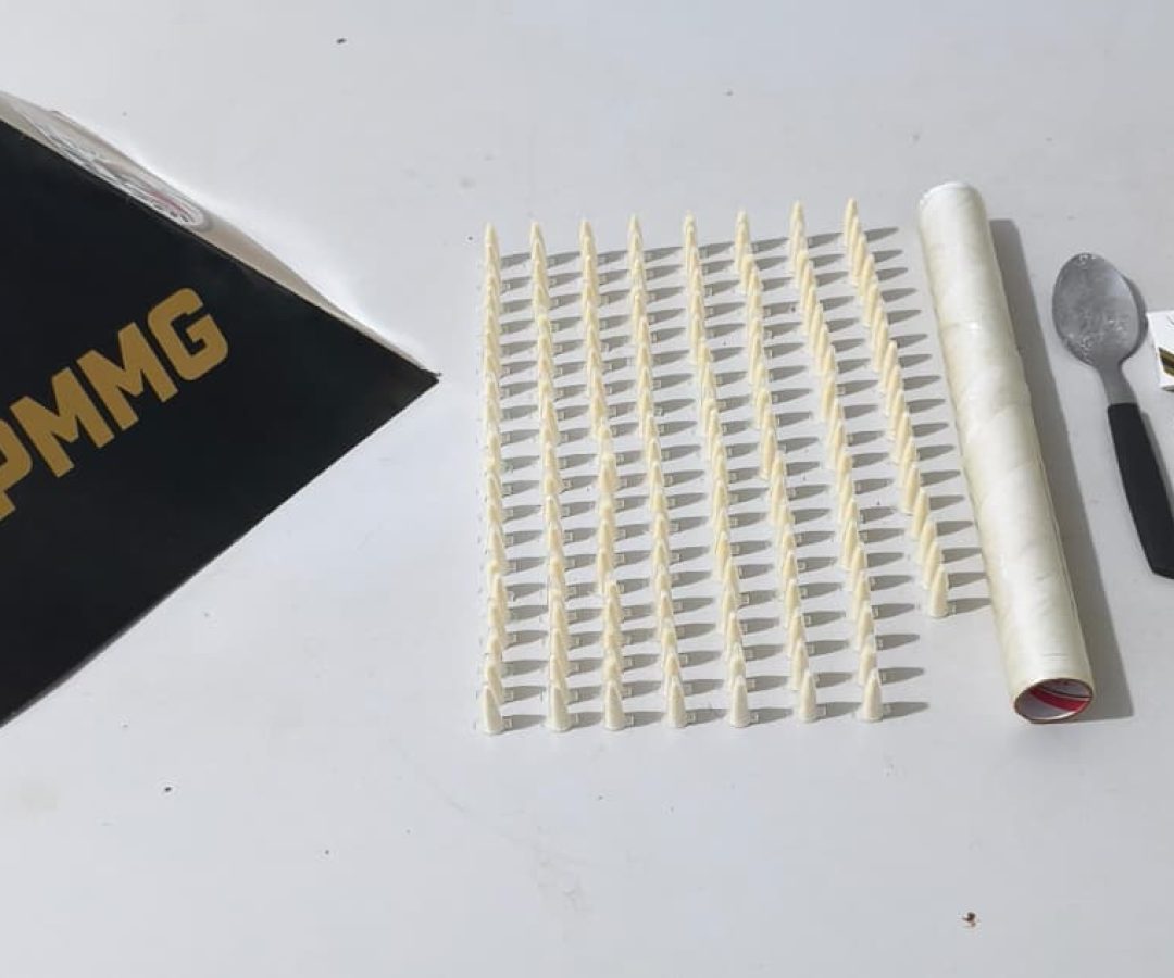 (foto: divulgação/ PMMG)