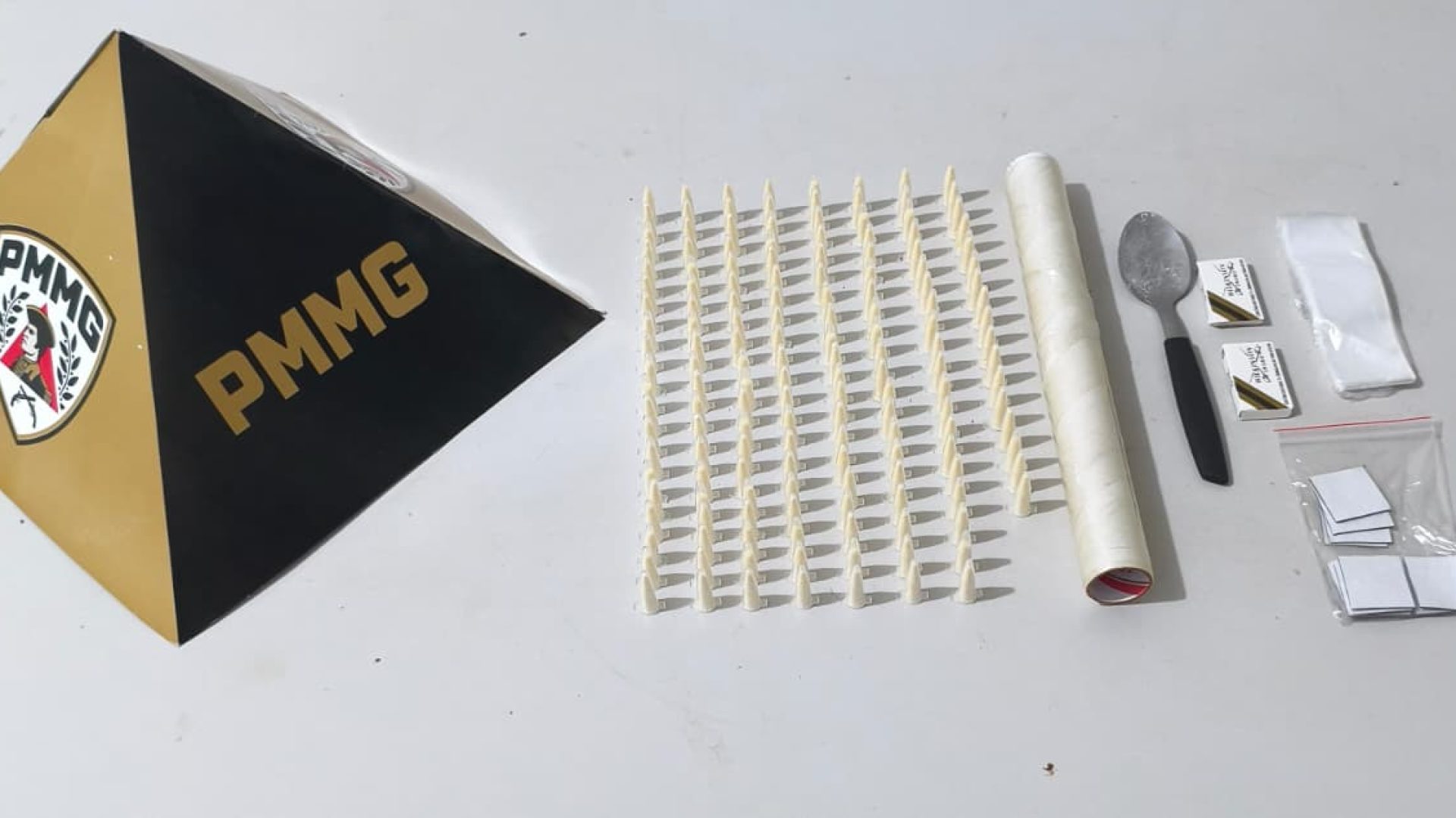 (foto: divulgação/ PMMG)