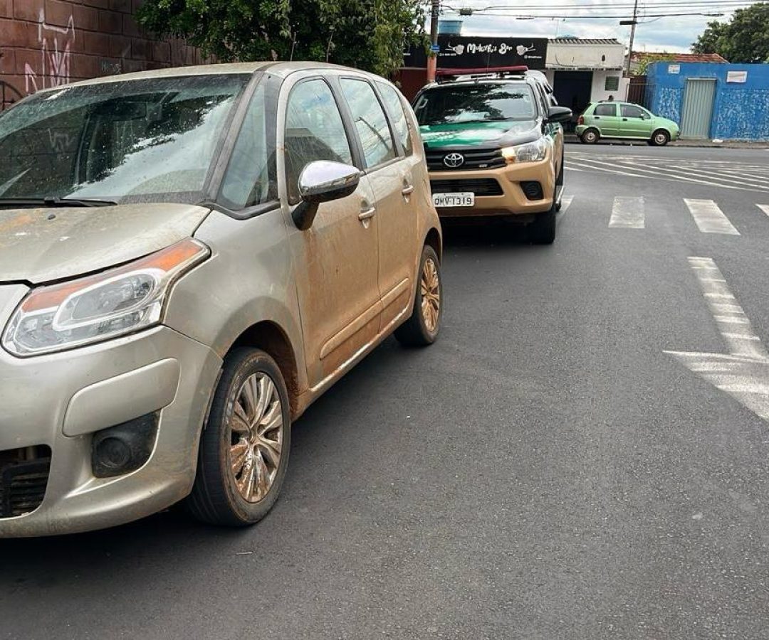 (foto: divulgação/ PMRv)