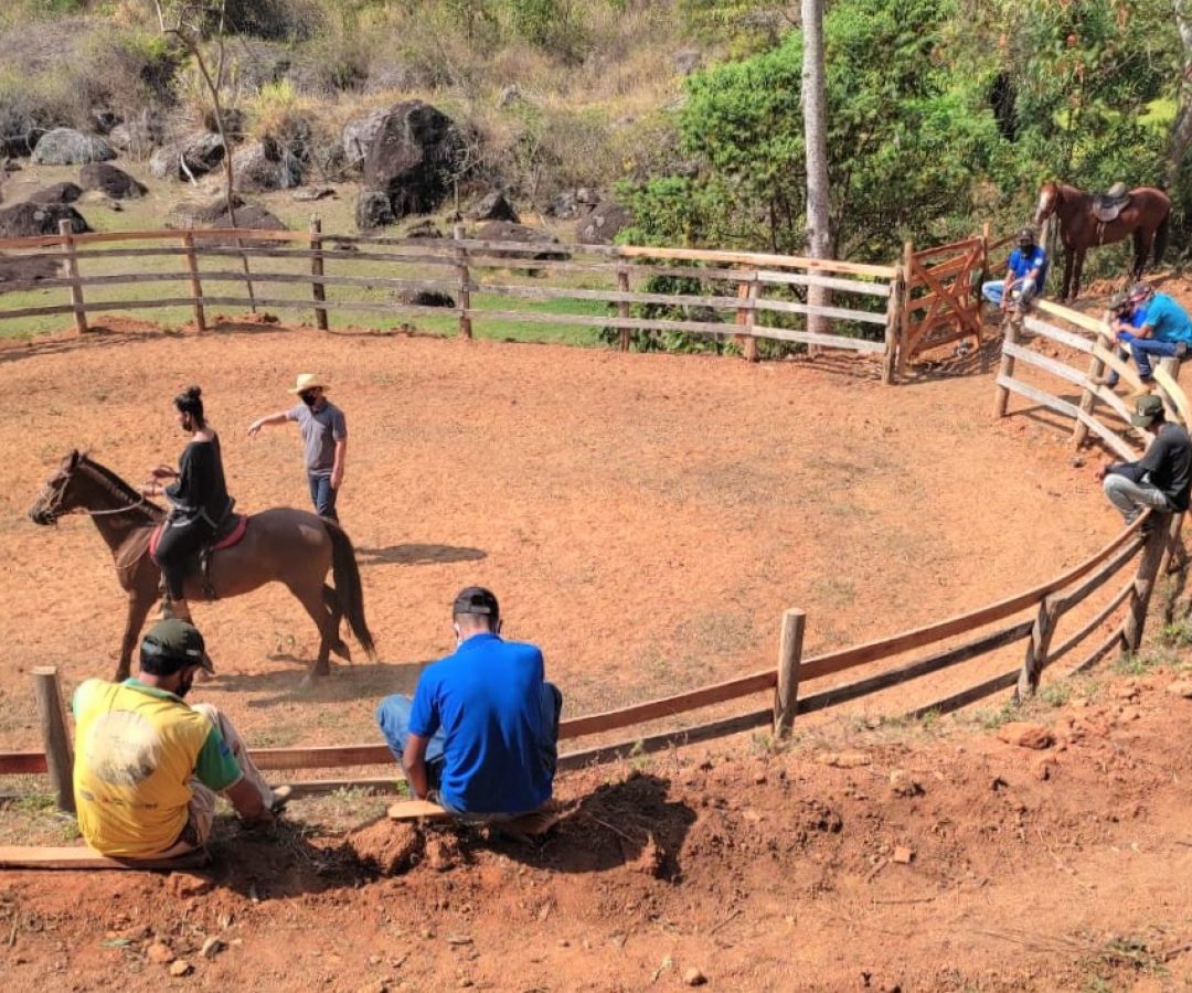 Divulgação / Faemg Senar