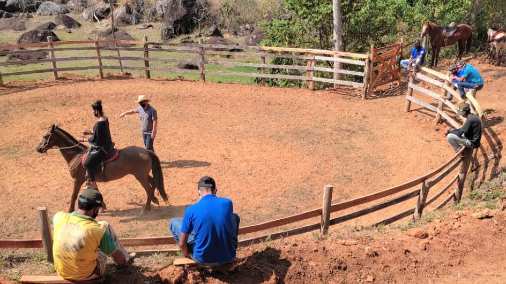 Divulgação / Faemg Senar