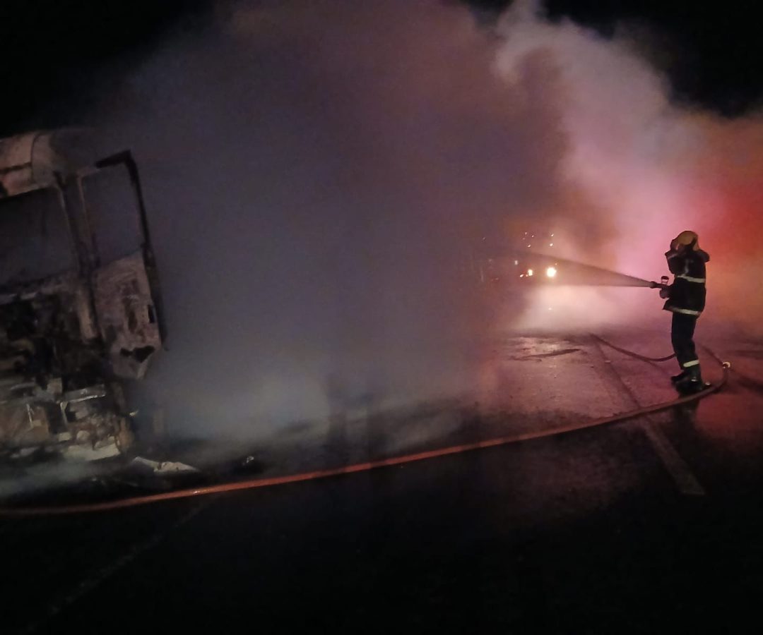 (foto: divulgação/ CBMG)