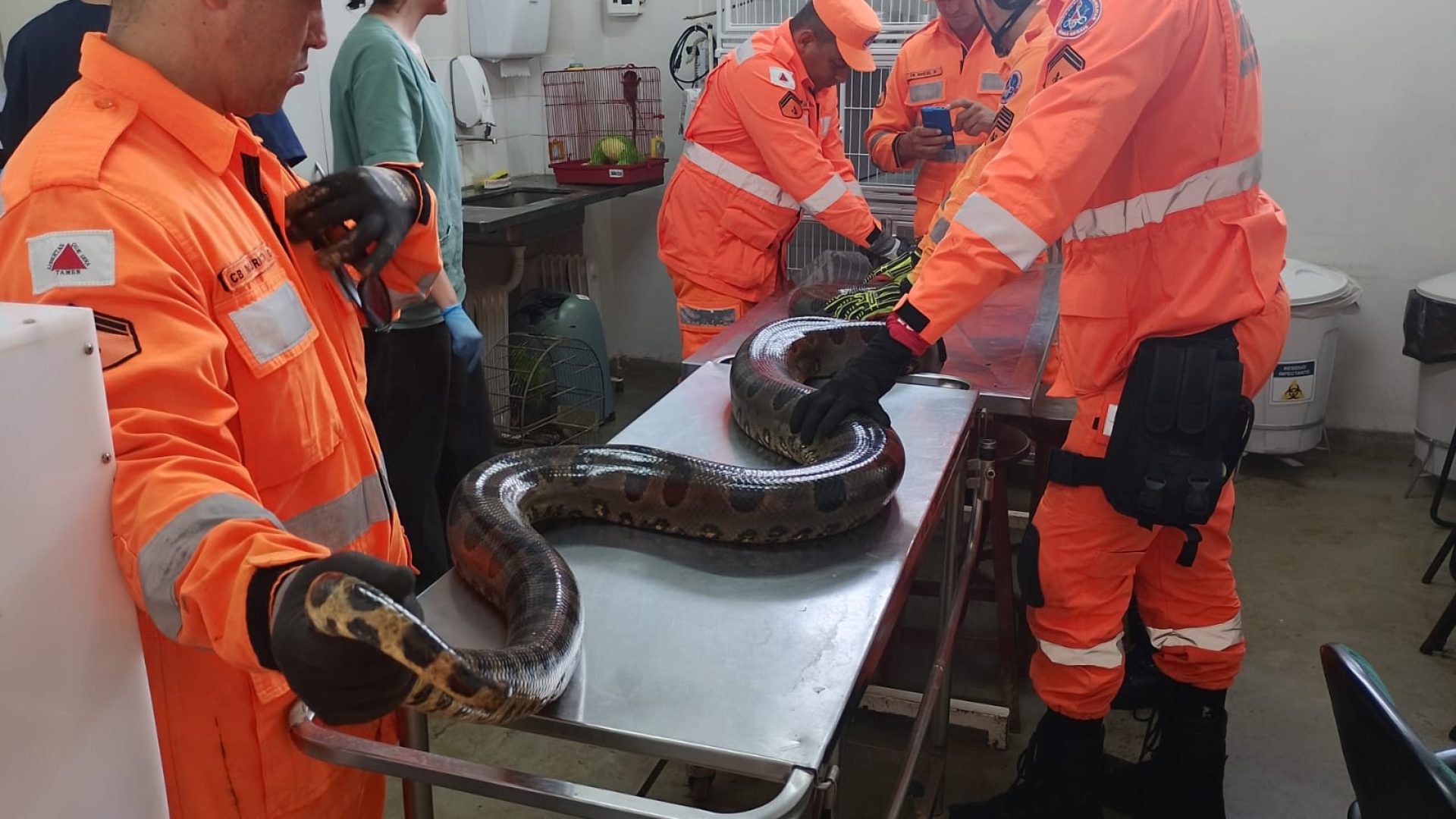 (foto: divulgação/ Corpo de Bombeiros)