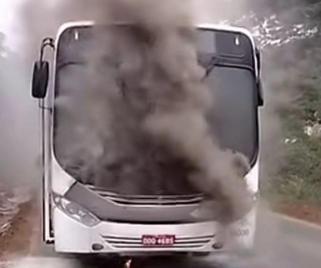 Foto: Reprodução internet