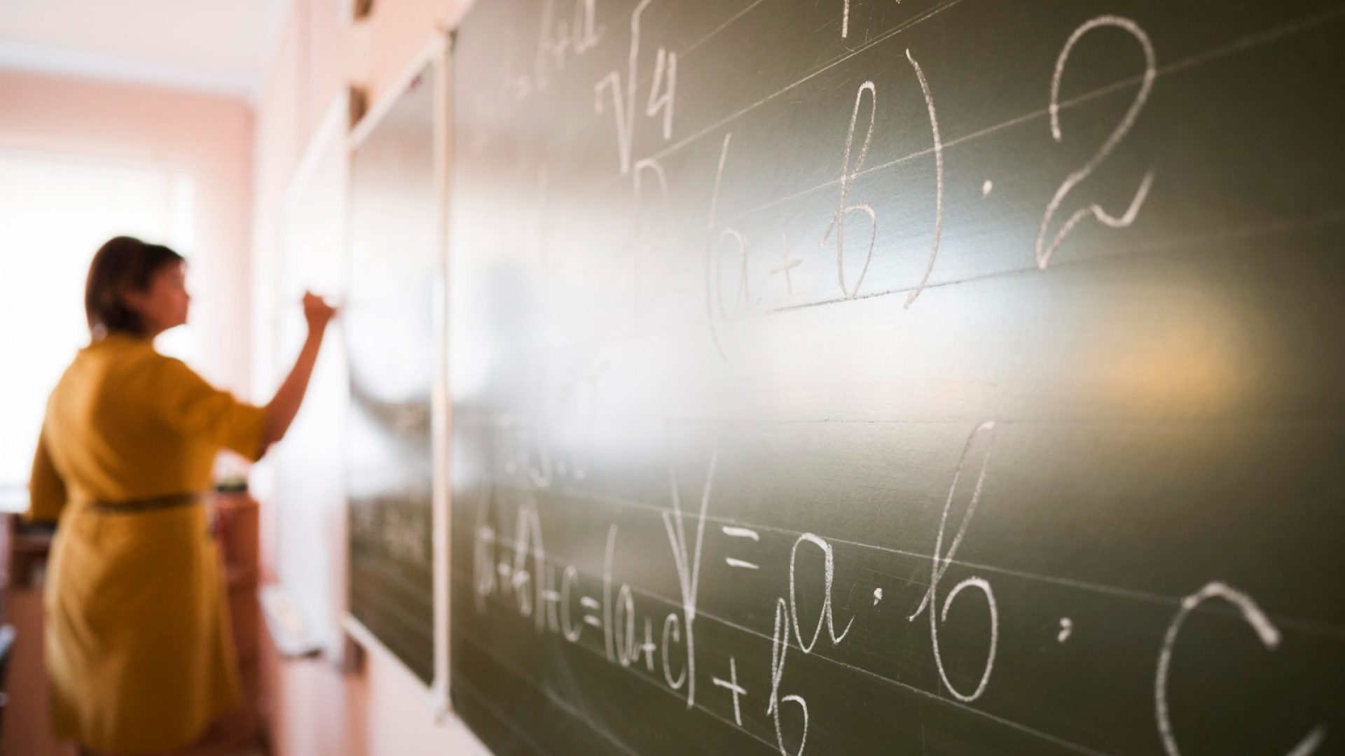 (foto: divulgação/ freepik)