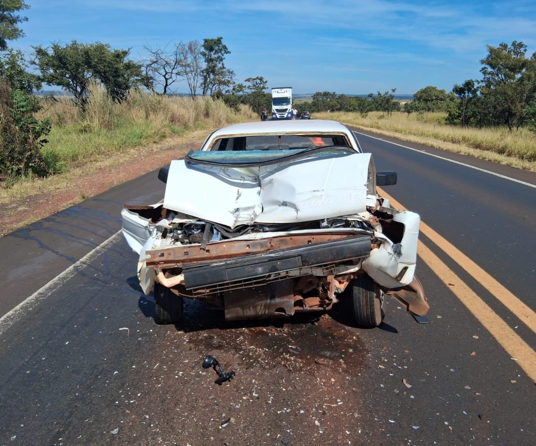 (foto: divulgação/ PMRv)