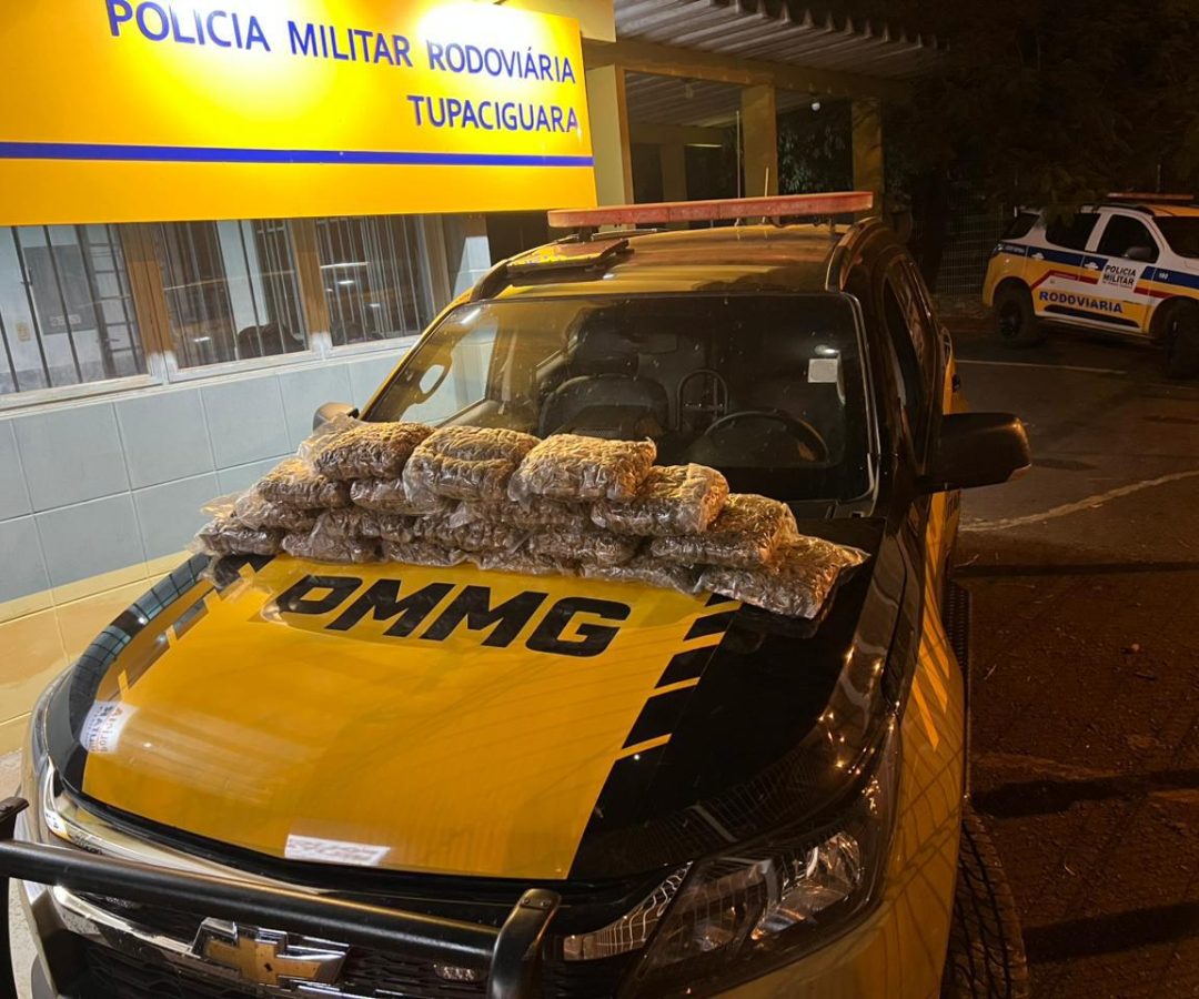 (foto: divulgação/ PMRv)