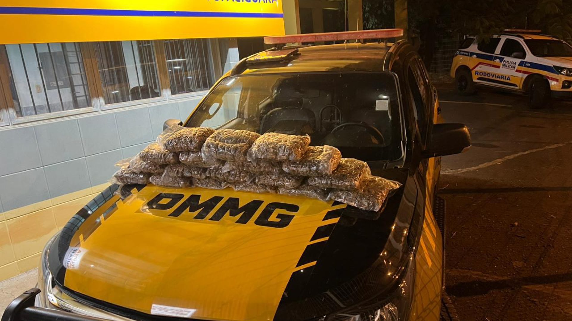 (foto: divulgação/ PMRv)