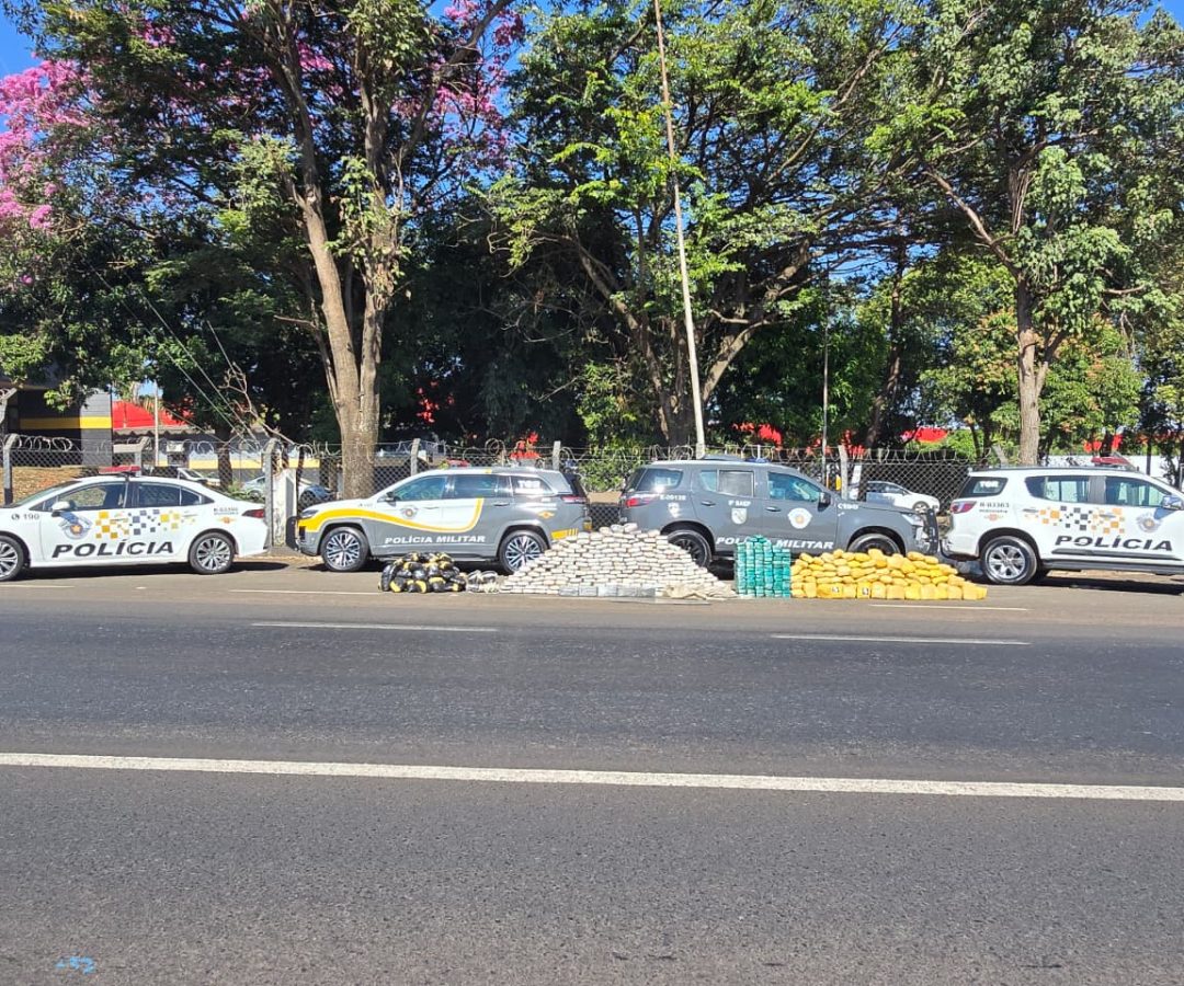 Caminhão frigorífico com 29 toneladas de carne escondia 458 kg de drogas em SP
