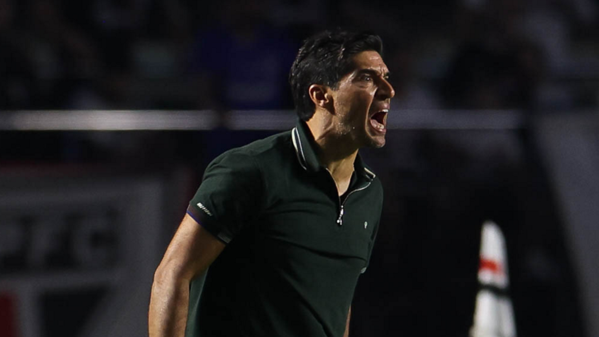 Foto: Cesar Greco / Palmeiras / by Canon