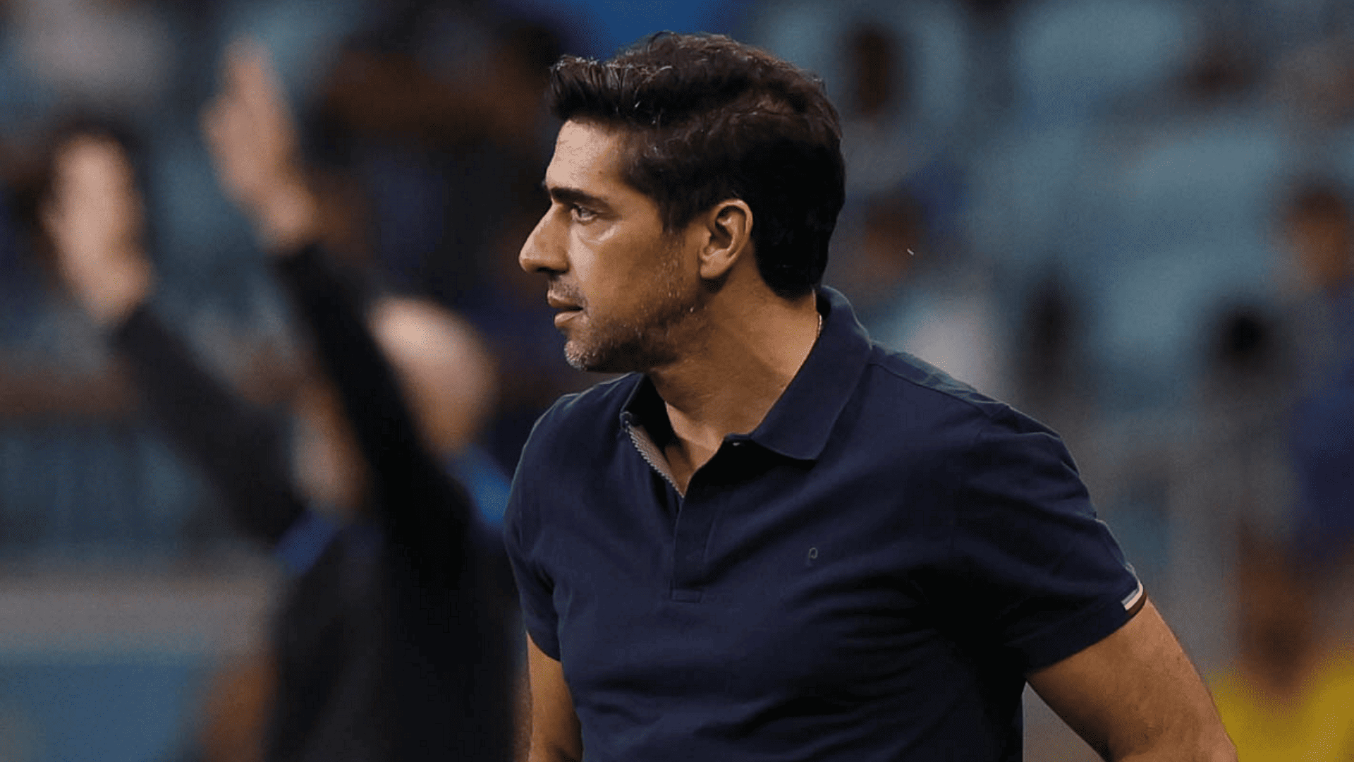 Foto: Cesar Greco / Palmeiras / by Canon