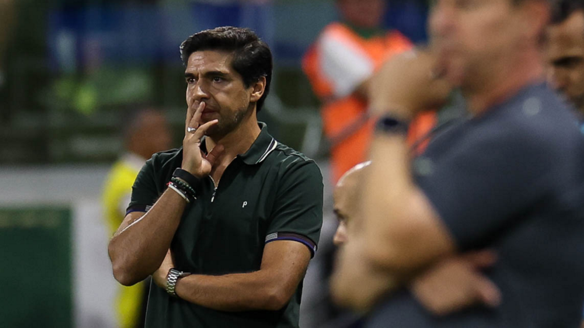 Foto: Cesar Greco / Palmeiras / by Canon