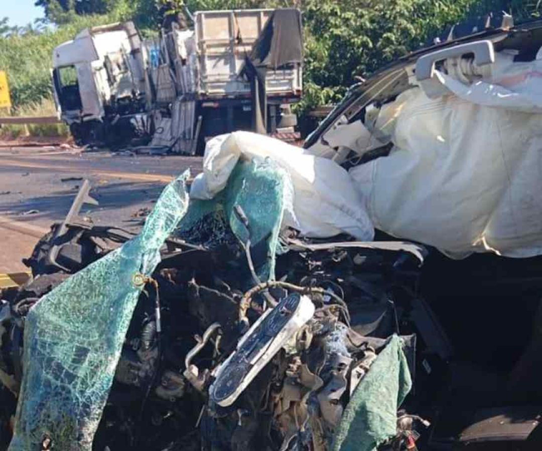 (foto: divulgação/ CBMG)