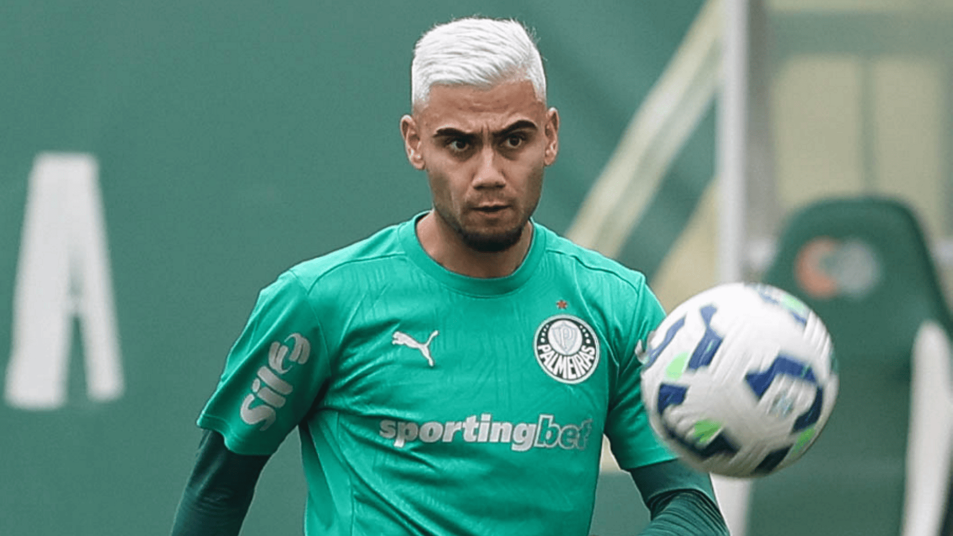 Foto: Cesar Greco / Palmeiras / by Canon