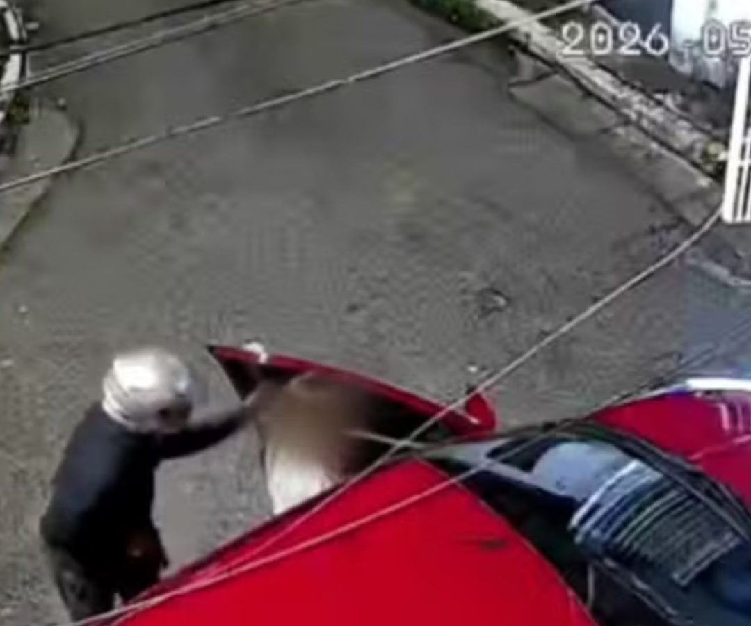 assalto em Santana