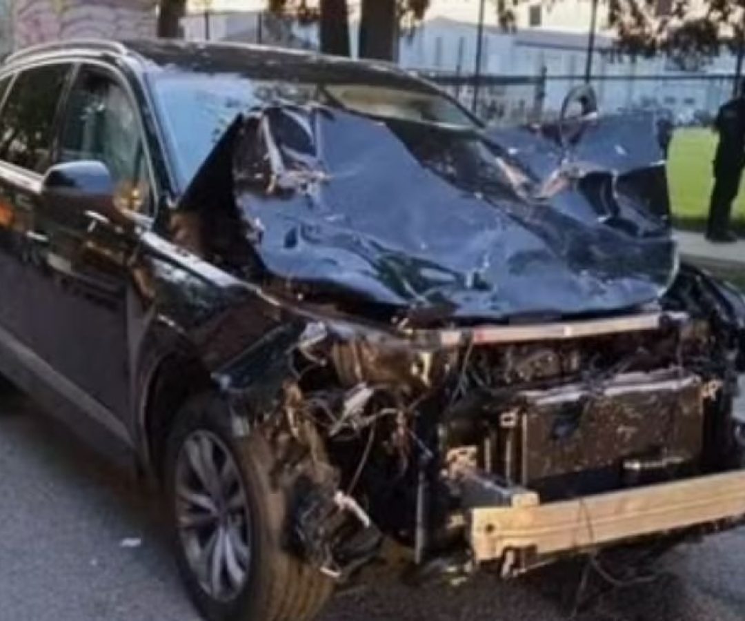 atropelamento canada