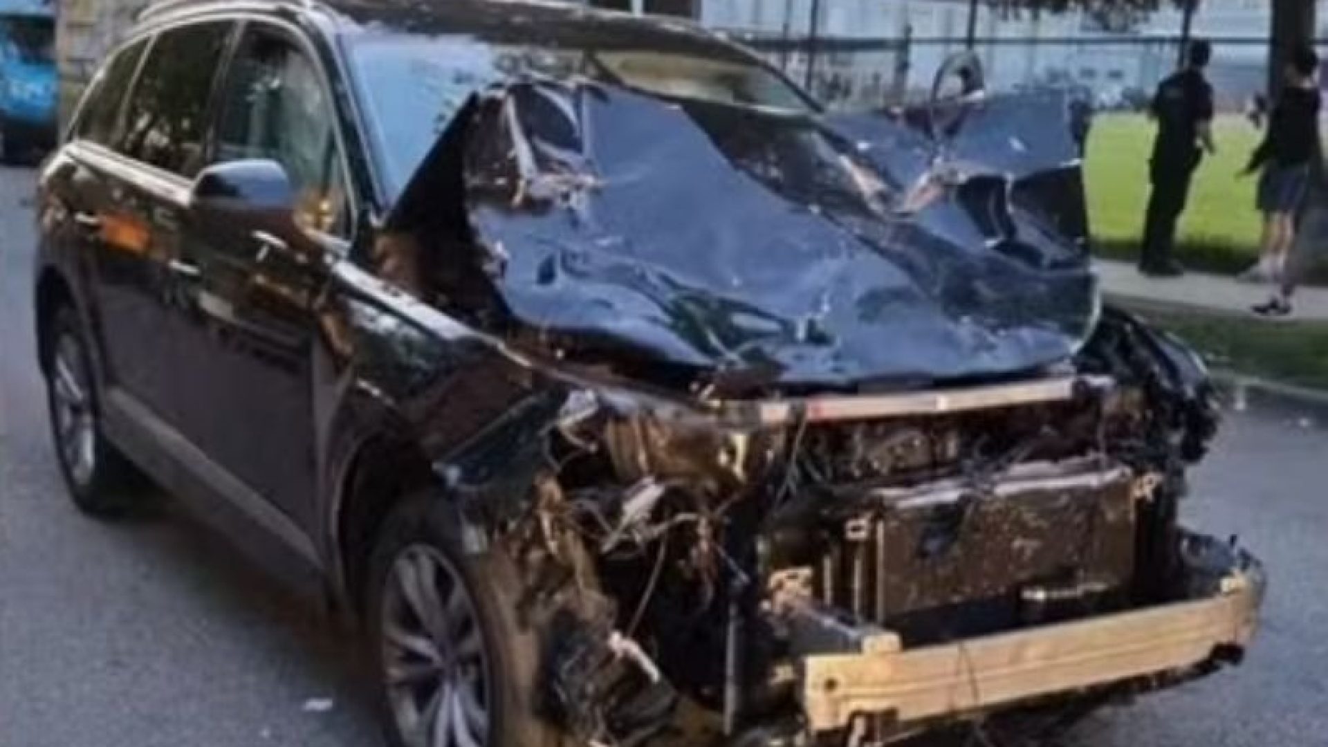 atropelamento canada