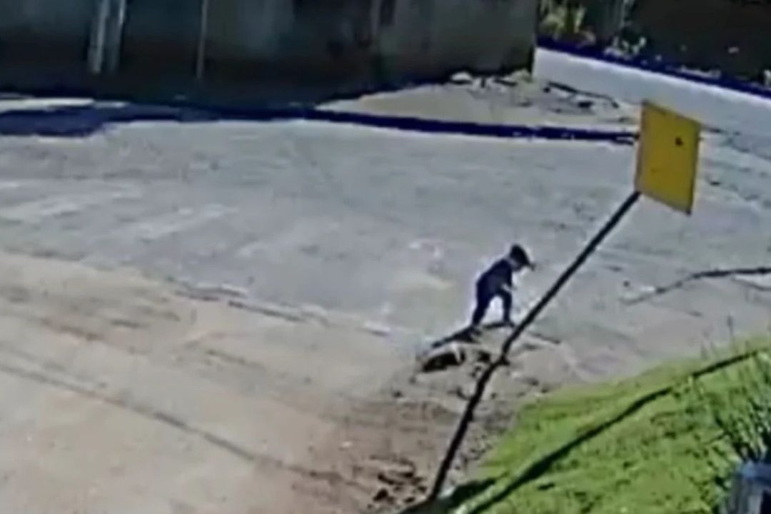 bebê sai de creche sozinho