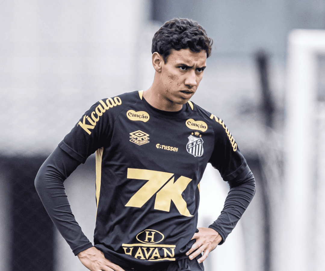 Foto: Raul Baretta / Santos FC