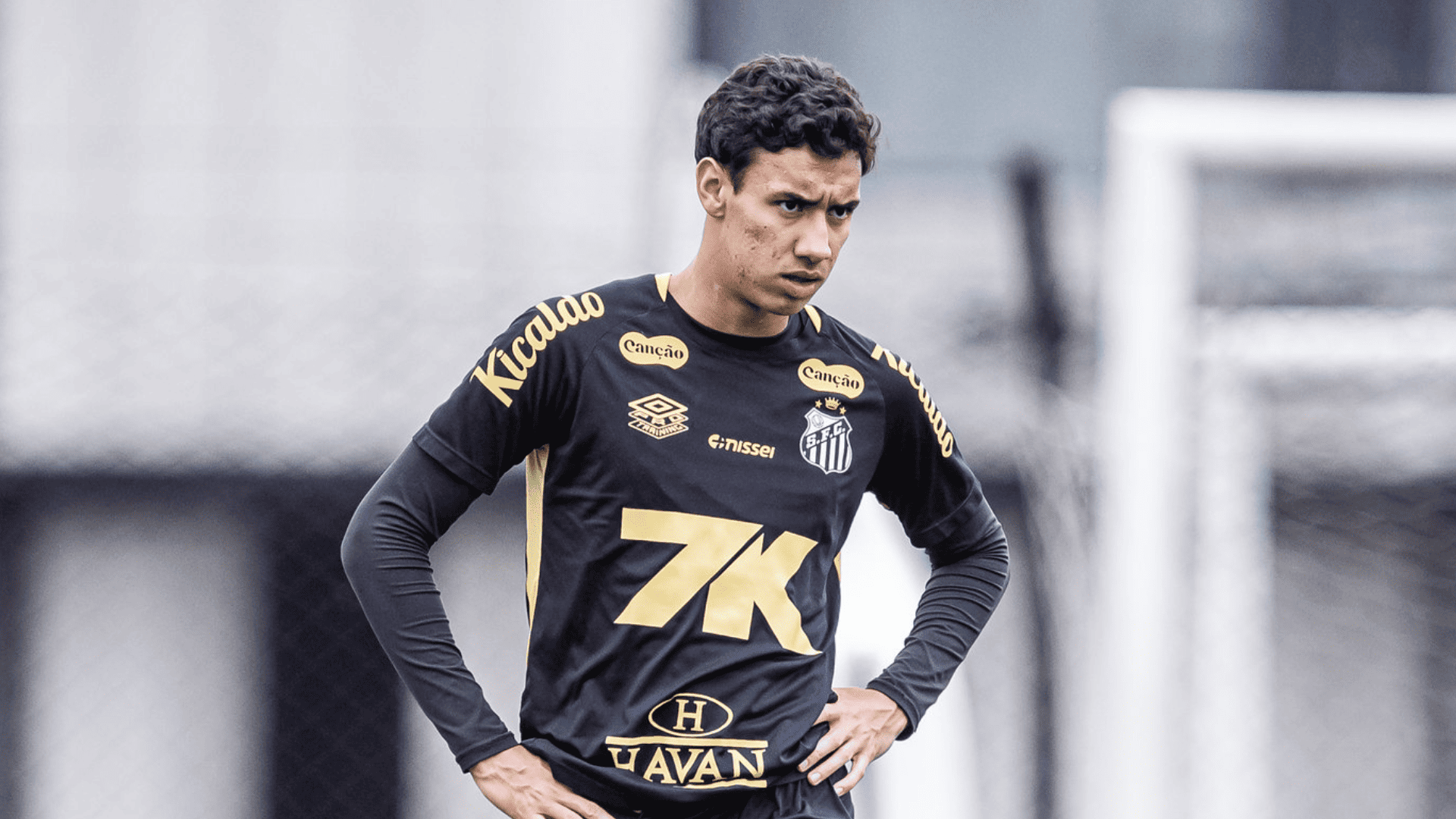 Foto: Raul Baretta / Santos FC