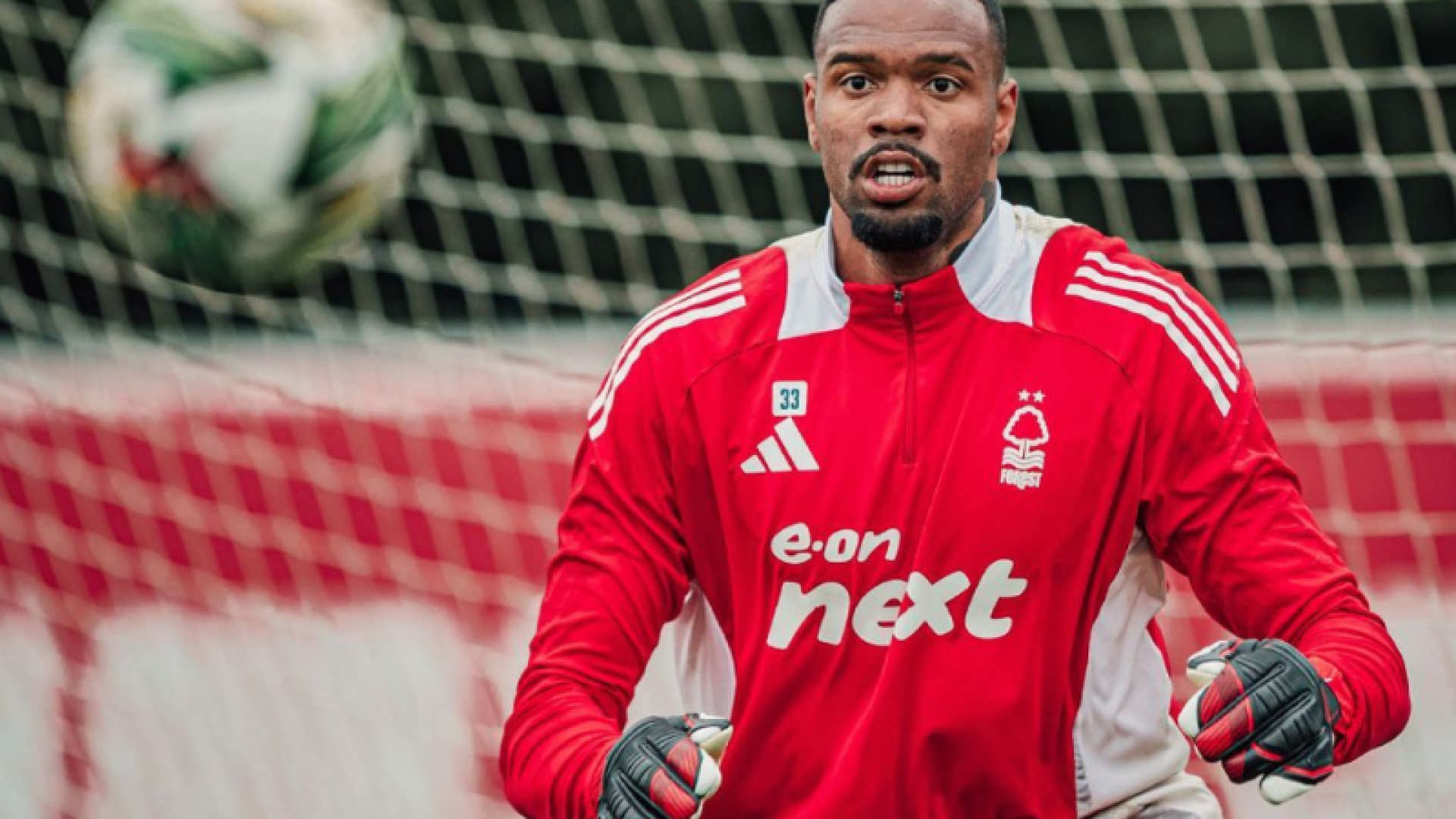 O Palmeiras acertou a contratação de Carlos Miguel, ex-Corinthians e Nottingham Forest, em operação que o torna o goleiro mais caro...